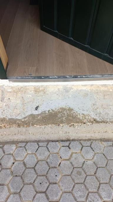 Loft Acogedor Daire Sevilla Dış mekan fotoğraf